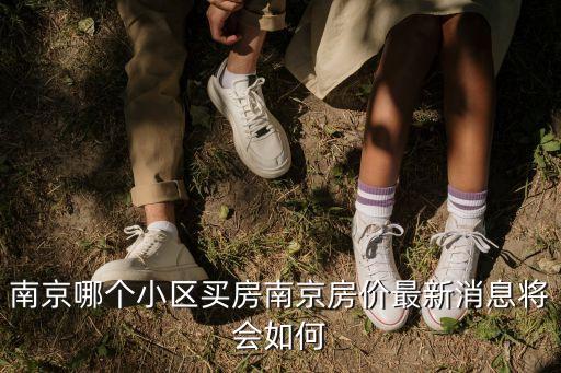 南京哪个小区买房南京房价最新消息将会如何