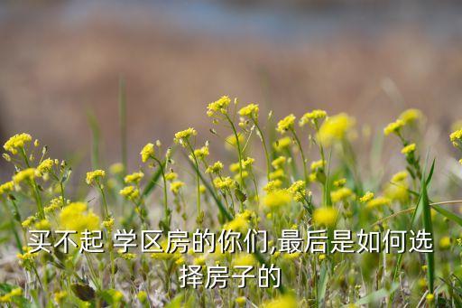 买不起 学区房的你们,最后是如何选择房子的