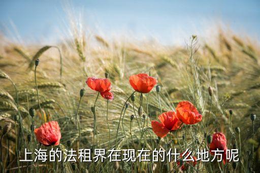 上海的法租界在现在的什么地方呢