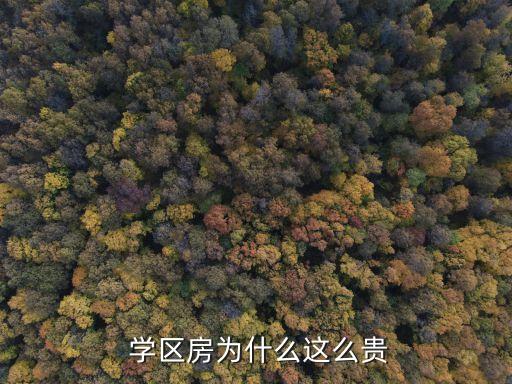  学区房为什么这么贵