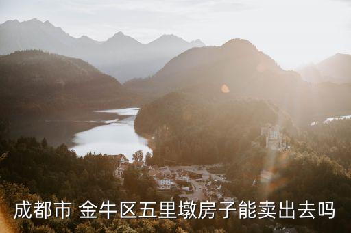 成都市 金牛区五里墩房子能卖出去吗