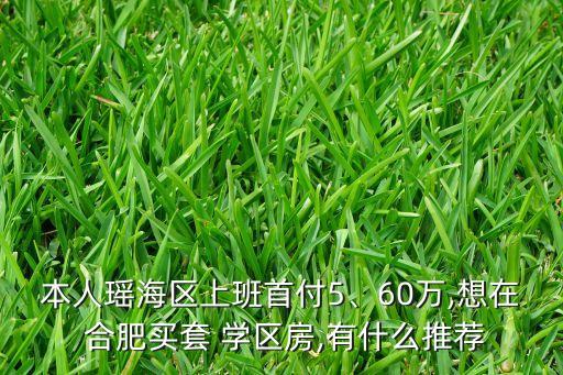 本人瑶海区上班首付5、60万,想在 合肥买套 学区房,有什么推荐