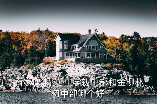  石家庄 精英 中学初中部和金柳林初中部哪个好