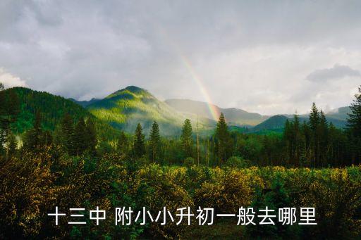  十三中 附小小升初一般去哪里