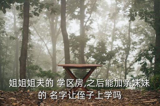 姐姐姐夫的 学区房,之后能加亲妹妹的 名字让侄子上学吗