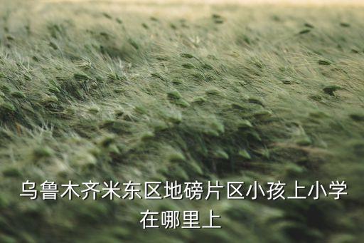  乌鲁木齐米东区地磅片区小孩上小学在哪里上