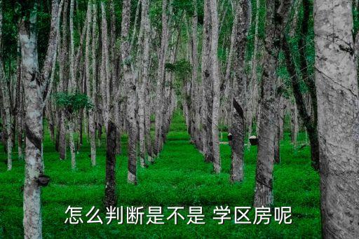 成都学区房怎么划分哪儿查,成都天府新区学区房划分小区