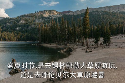 盛夏时节,是去锡林郭勒大草原游玩,还是去呼伦贝尔大草原避暑