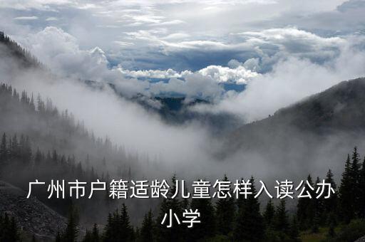  广州市户籍适龄儿童怎样入读公办 小学
