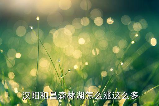  汉阳和昌森林湖怎么涨这么多