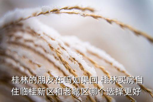 桂林买哪个学区房,桂林学区房划分2022