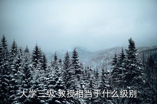 大学三级 教授相当于什么级别