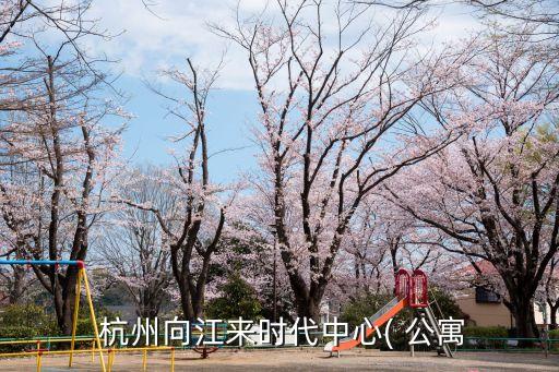  杭州向江来时代中心( 公寓