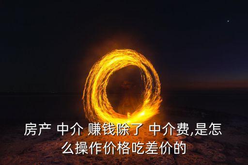 房产 中介 赚钱除了 中介费,是怎么操作价格吃差价的