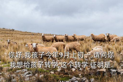 你好,我孩子今年9月上初一,请问你我想给孩子转学,这个转学 证明是...