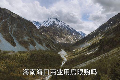 海南海口商业用房限购吗