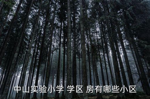 中山实验小学 学区 房有哪些小区