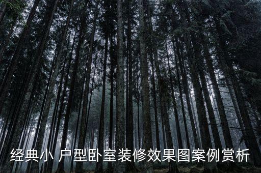 经典小 户型卧室装修效果图案例赏析