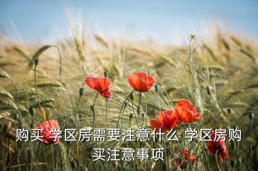 购买 学区房需要注意什么 学区房购买注意事项