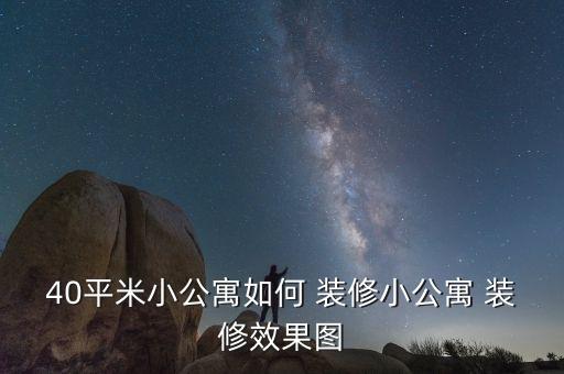 40平米小公寓如何 装修小公寓 装修效果图