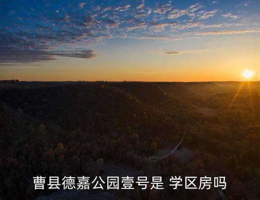 曹县德嘉公园壹号是 学区房吗