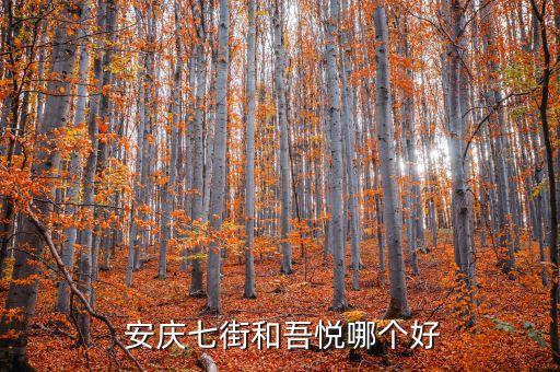  安庆七街和吾悦哪个好