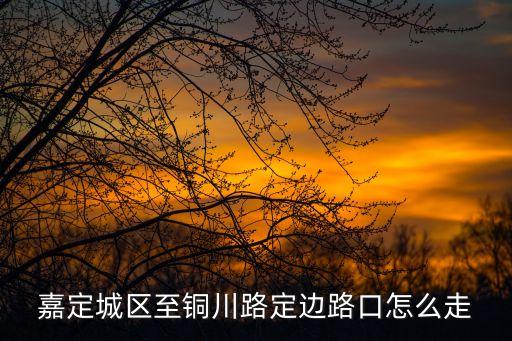 嘉定城区至铜川路定边路口怎么走