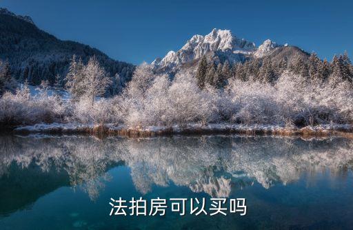  法拍房可以买吗