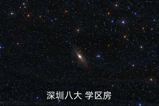 深圳八大 学区房