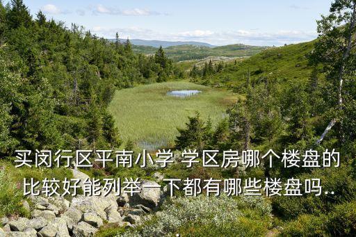 买闵行区平南小学 学区房哪个楼盘的比较好能列举一下都有哪些楼盘吗...