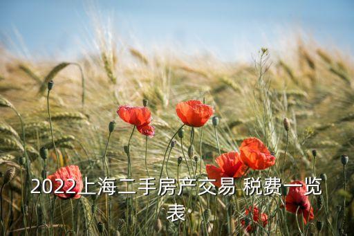 2022上海二手房产交易 税费一览表
