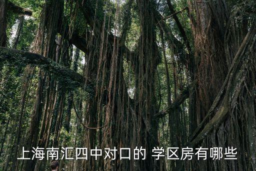 上海南汇四中对口的 学区房有哪些