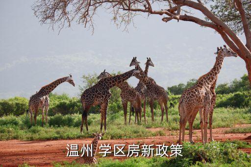 温州 学区房新政策