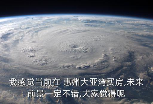 我感觉当前在 惠州大亚湾买房,未来前景一定不错,大家觉得呢