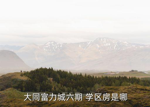 大同实验中学学区房有哪些