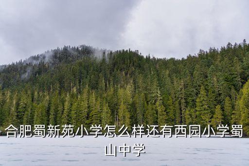 合肥蜀新苑小学怎么样还有西园小学蜀山中学