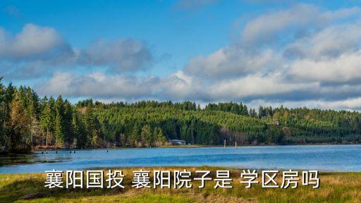  襄阳国投 襄阳院子是 学区房吗