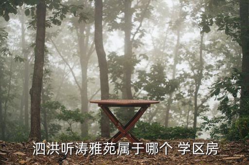  泗洪听涛雅苑属于哪个 学区房