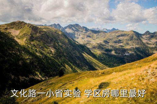 文化路一小省实验 学区房哪里最好