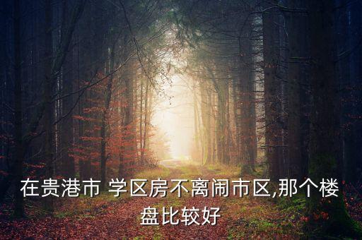 在贵港市 学区房不离闹市区,那个楼盘比较好