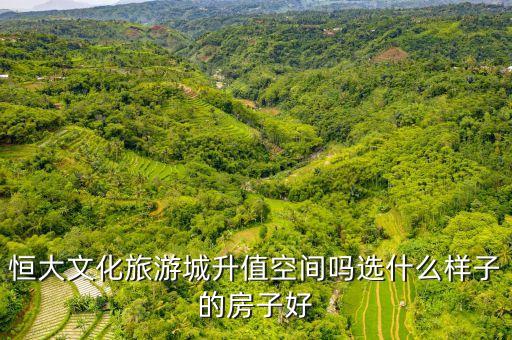 恒大文化旅游城升值空间吗选什么样子的房子好