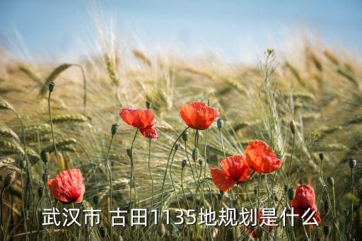 武汉市 古田1135地规划是什么