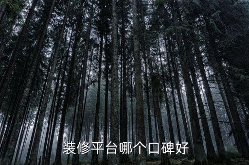  装修平台哪个口碑好