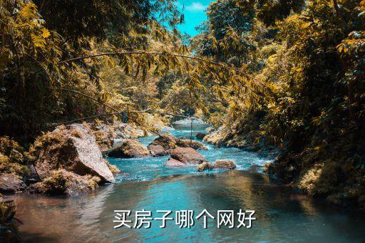  买房子哪个网好