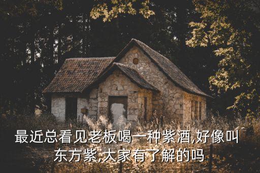 最近总看见老板喝一种紫酒,好像叫 东方紫,大家有了解的吗