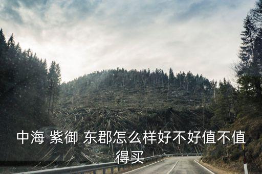 中海 紫御 东郡怎么样好不好值不值得买