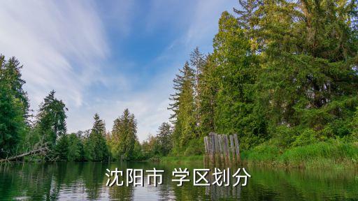 沈阳市 学区划分