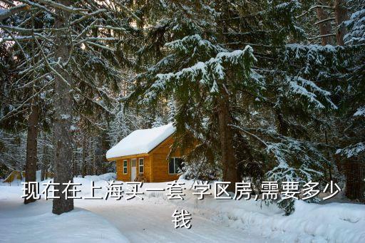现在在上海买一套 学区房,需要多少钱