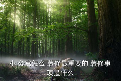 小 公寓怎么 装修最重要的 装修事项是什么