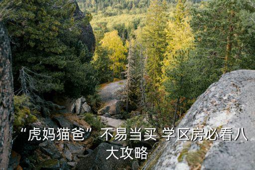 “虎妈猫爸”不易当买 学区房必看八大攻略